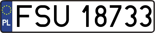FSU18733