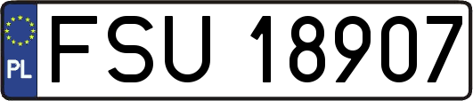 FSU18907