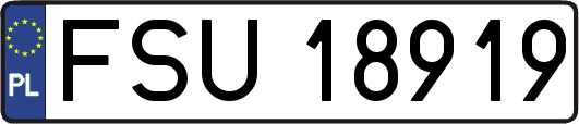 FSU18919