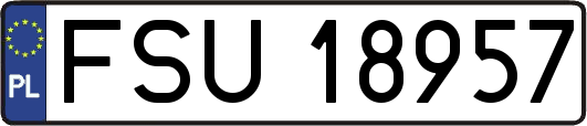 FSU18957