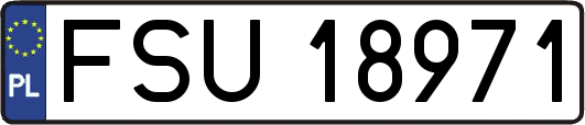 FSU18971