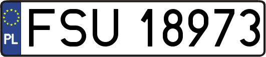 FSU18973