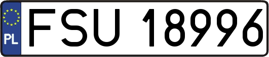 FSU18996