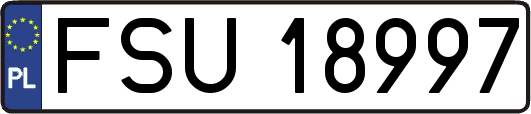 FSU18997