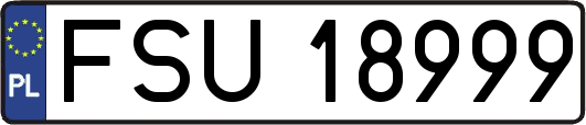 FSU18999