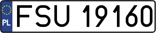 FSU19160