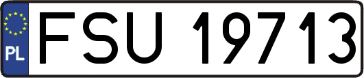 FSU19713