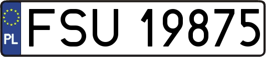 FSU19875