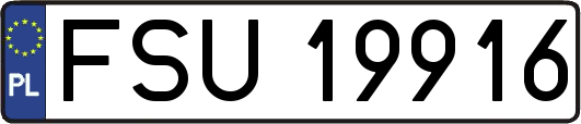 FSU19916