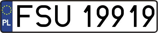 FSU19919