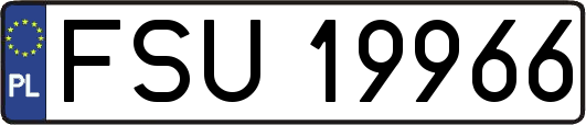 FSU19966