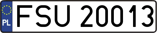 FSU20013