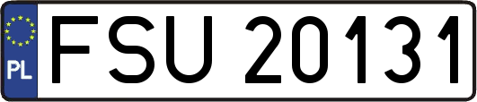 FSU20131