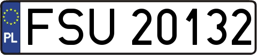 FSU20132