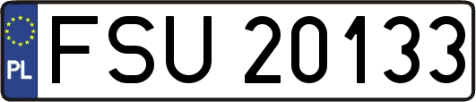 FSU20133