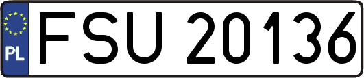 FSU20136