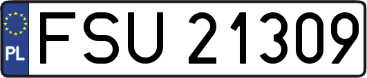 FSU21309