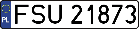 FSU21873
