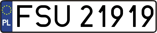 FSU21919