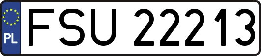 FSU22213
