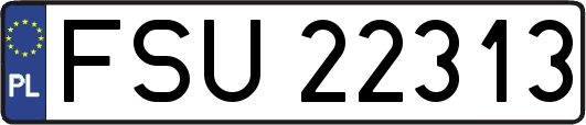 FSU22313