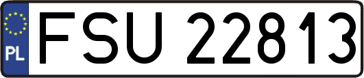 FSU22813
