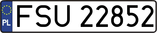 FSU22852