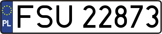 FSU22873
