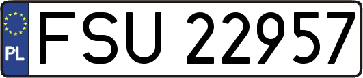 FSU22957