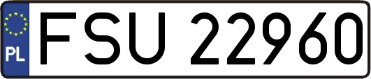 FSU22960