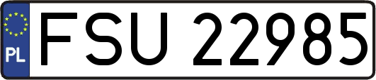 FSU22985