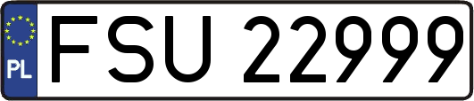 FSU22999