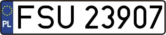 FSU23907