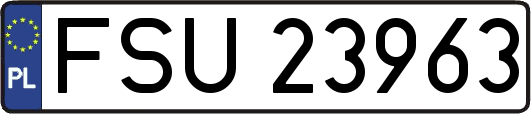 FSU23963