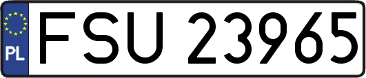FSU23965