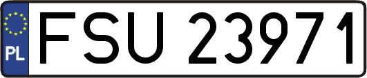 FSU23971