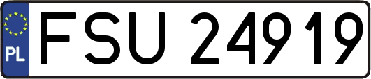 FSU24919