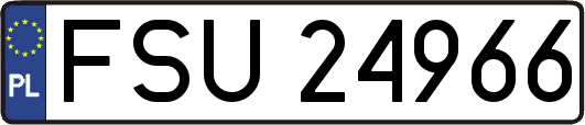 FSU24966