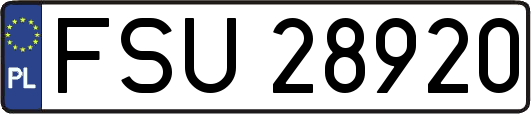 FSU28920