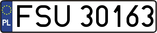 FSU30163