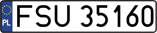 FSU35160
