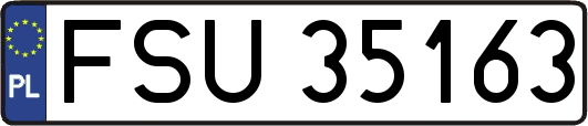 FSU35163