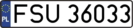 FSU36033