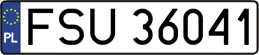 FSU36041