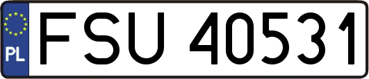 FSU40531