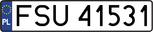 FSU41531