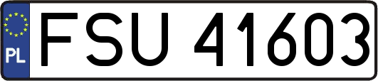 FSU41603