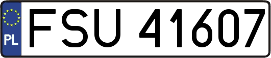 FSU41607