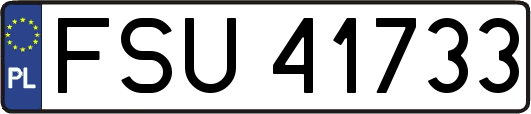 FSU41733