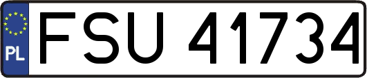 FSU41734